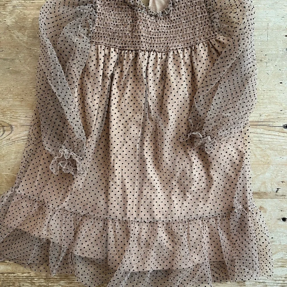 Zara tulle polka dot dress - Picture 2 of 3
